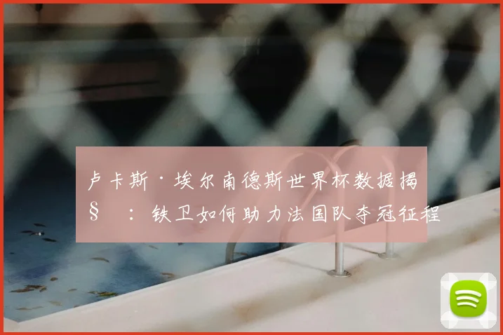 卢卡斯·埃尔南德斯世界杯数据揭秘：铁卫如何助力法国队夺冠征程