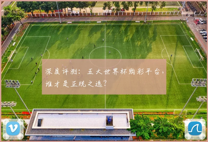 深度评测：五大世界杯购彩平台，谁才是正规之选？
