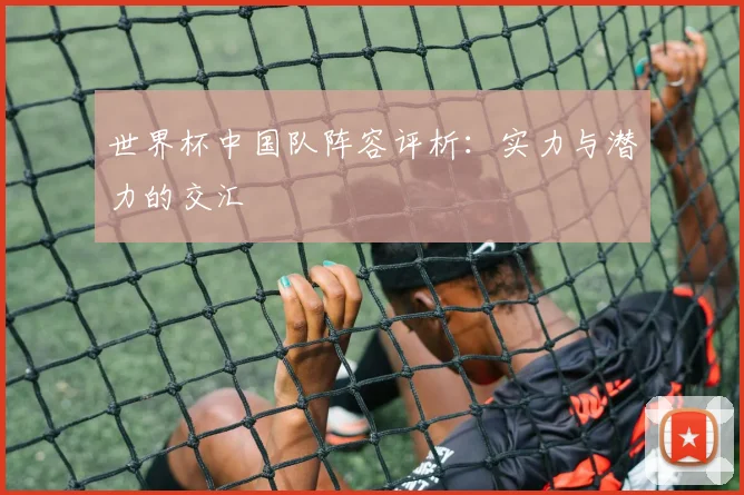 世界杯中国队阵容评析：实力与潜力的交汇
